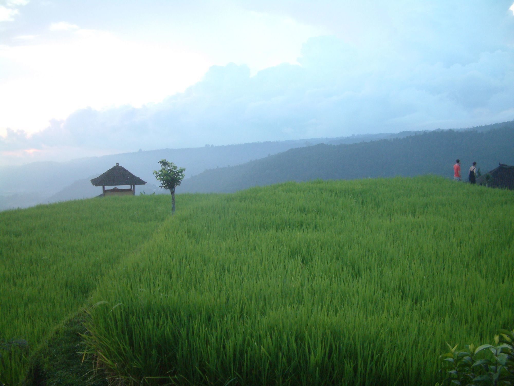 Puri Lumbung Cottages Gobleg  Eksteriør bilde