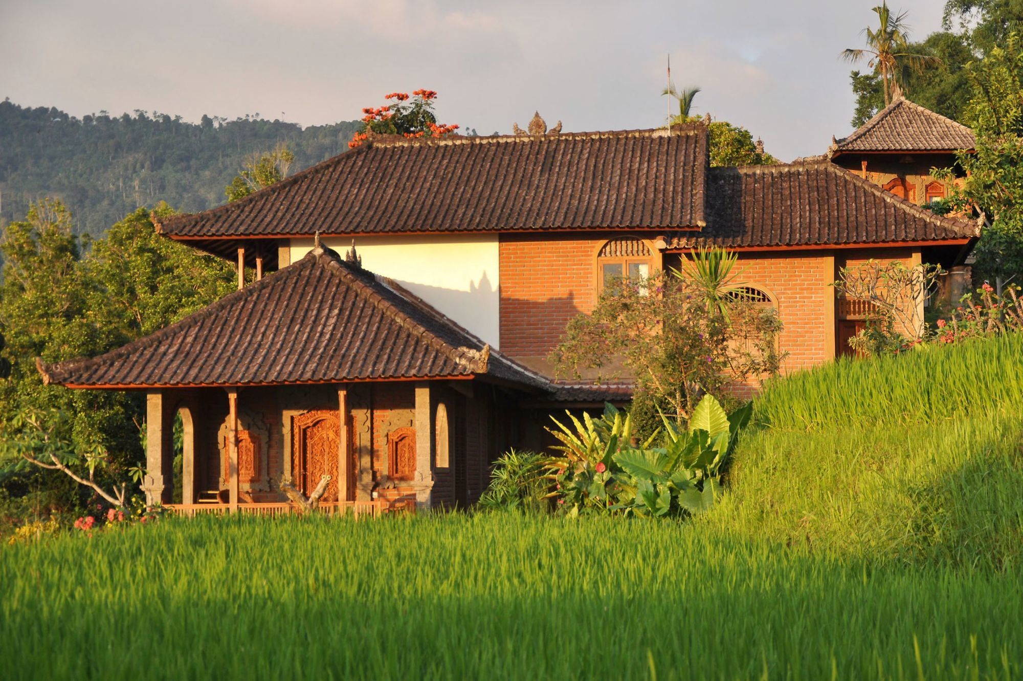 Puri Lumbung Cottages Gobleg  Eksteriør bilde