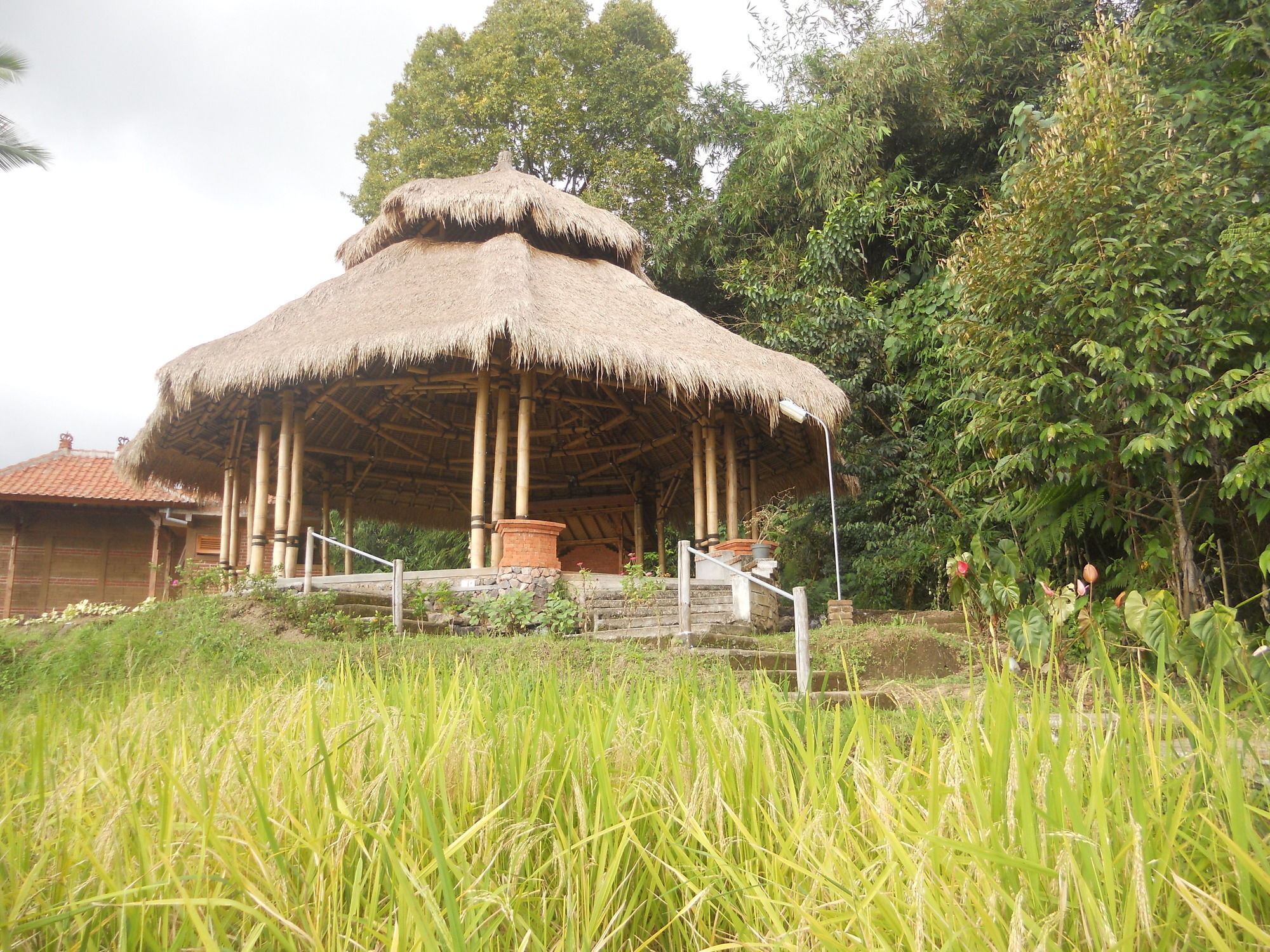 Puri Lumbung Cottages Gobleg  Eksteriør bilde