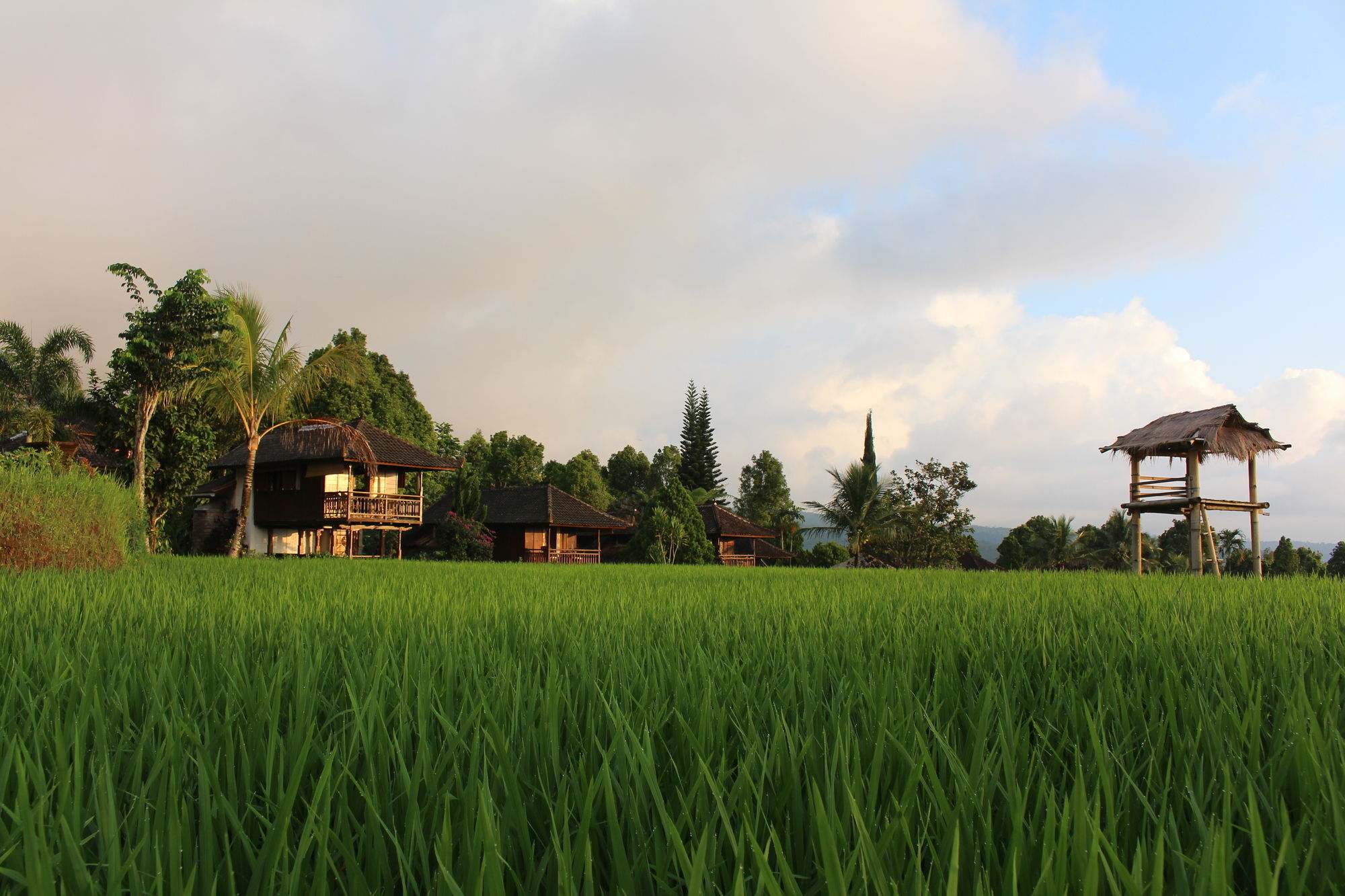 Puri Lumbung Cottages Gobleg  Eksteriør bilde