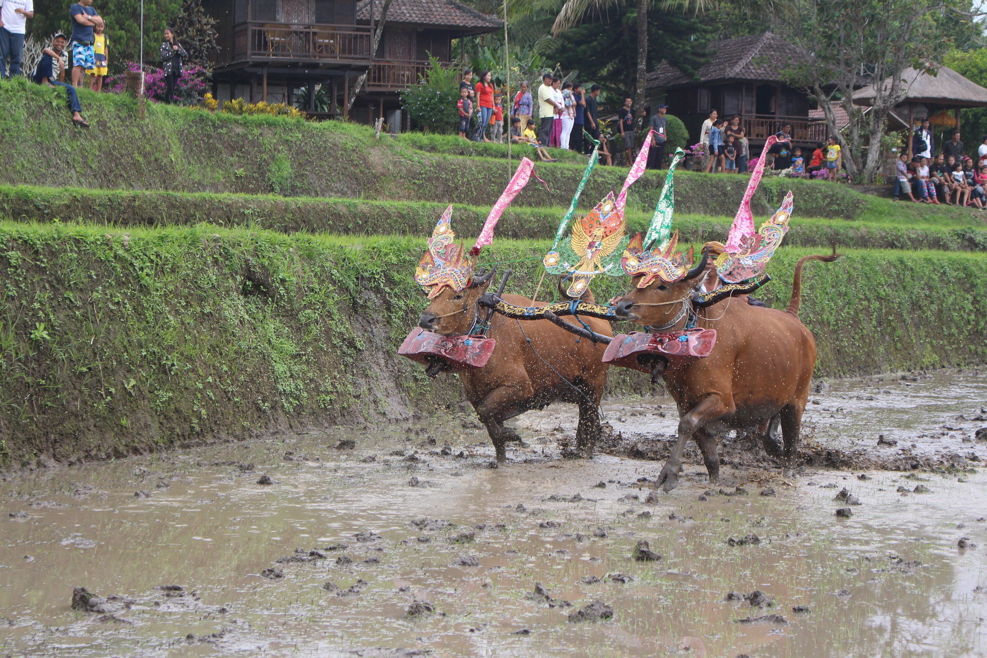 Puri Lumbung Cottages Gobleg  Eksteriør bilde